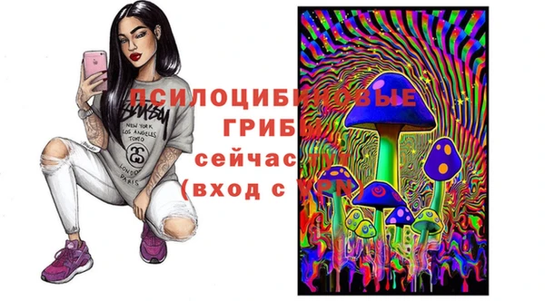 MESCALINE Богородицк